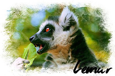 ikona-lemur.jpg